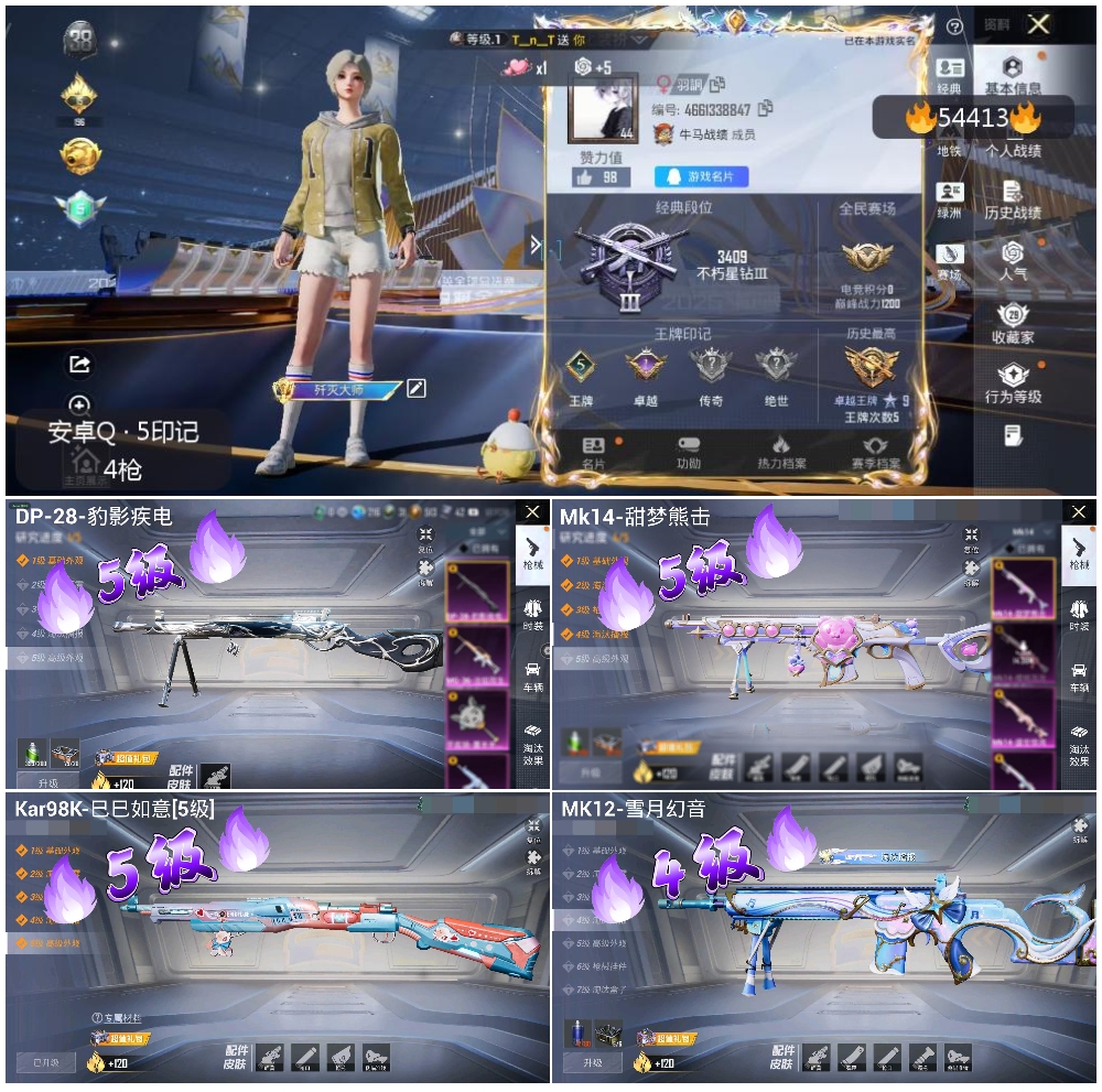 HPSJ3447517和平精英账号详情图2