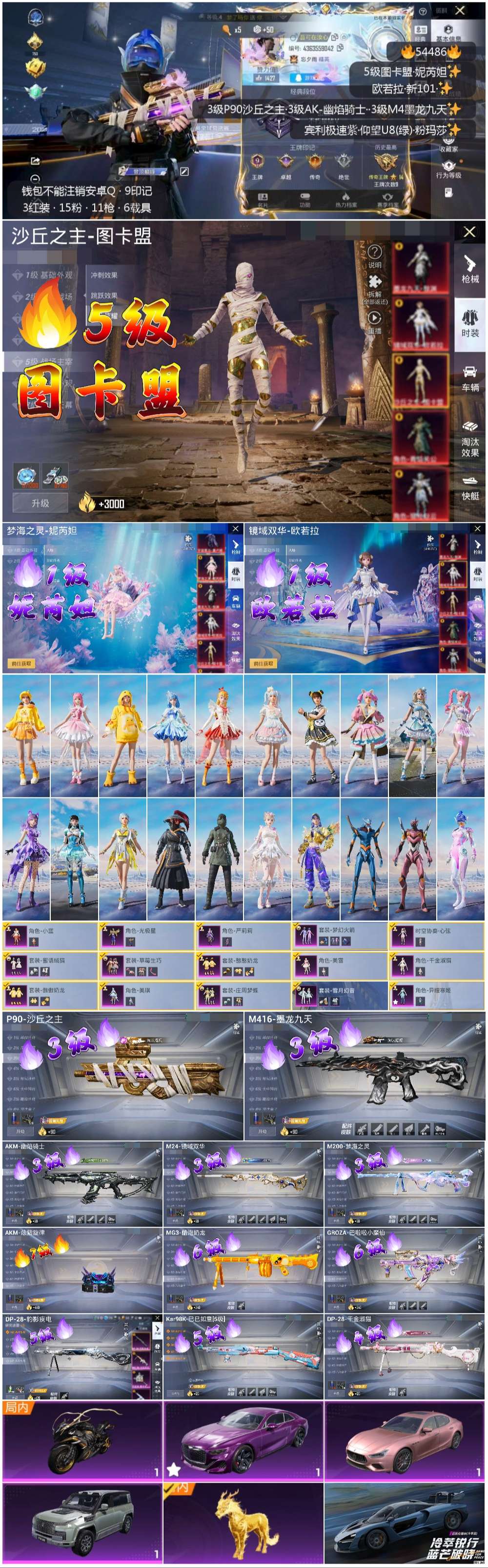 HPSJ3447919和平精英账号详情图2