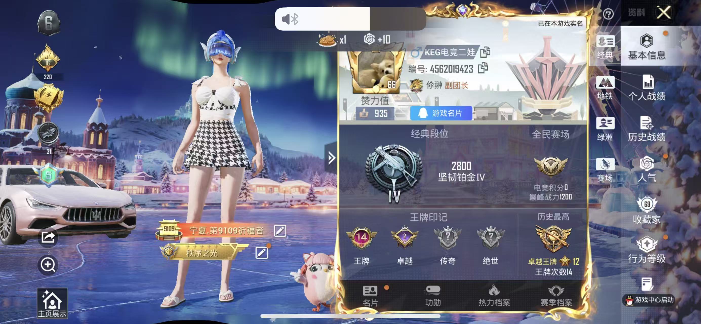 HPSJ3447914和平精英账号详情图2