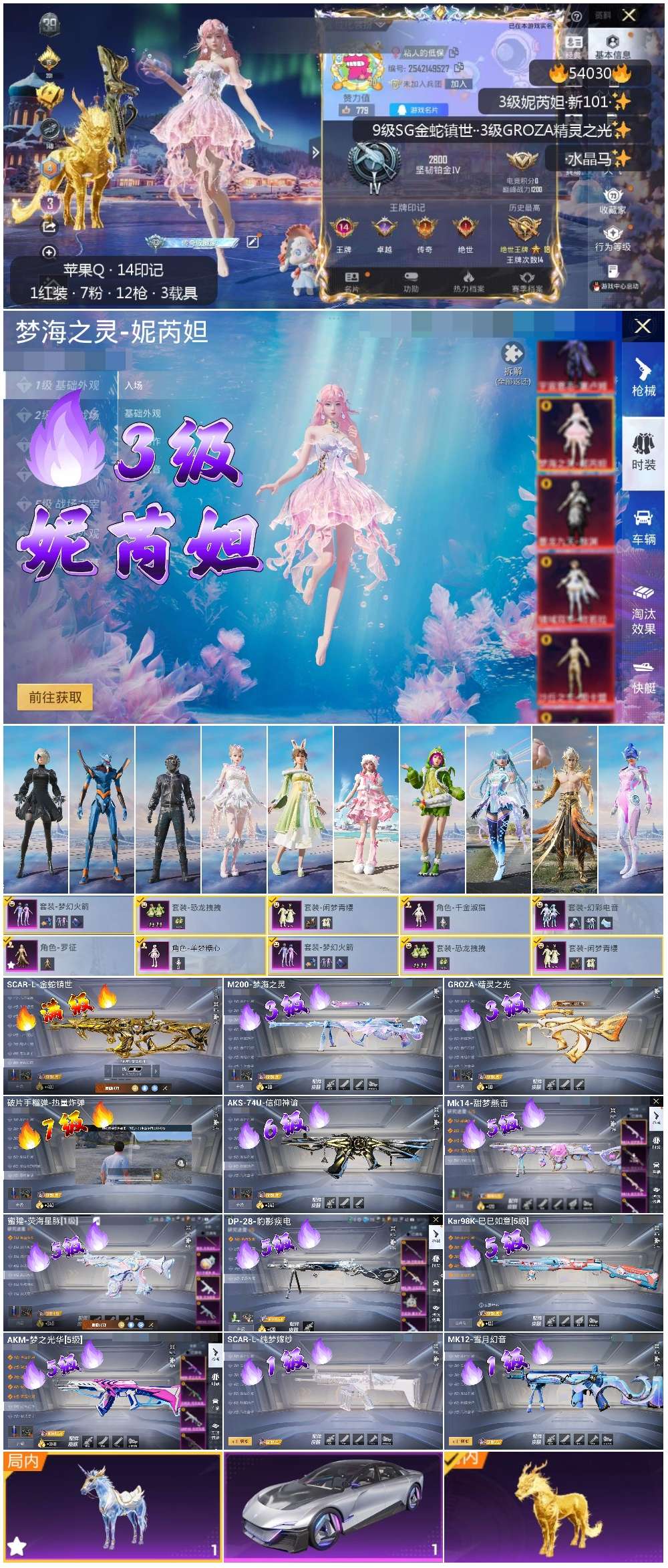 HPSJ3443532和平精英账号详情图3 HPSJ3443532和平精英账号详情图3