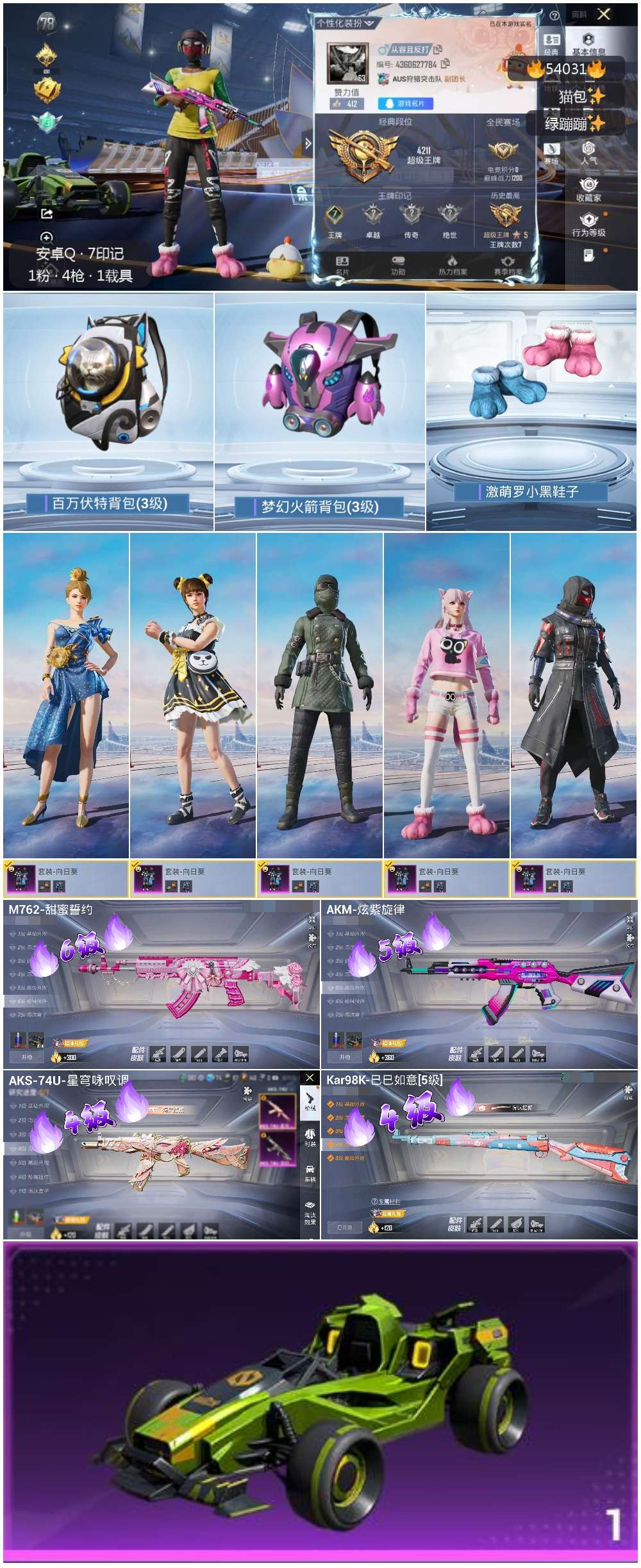 HPSJ3443983和平精英账号详情图3