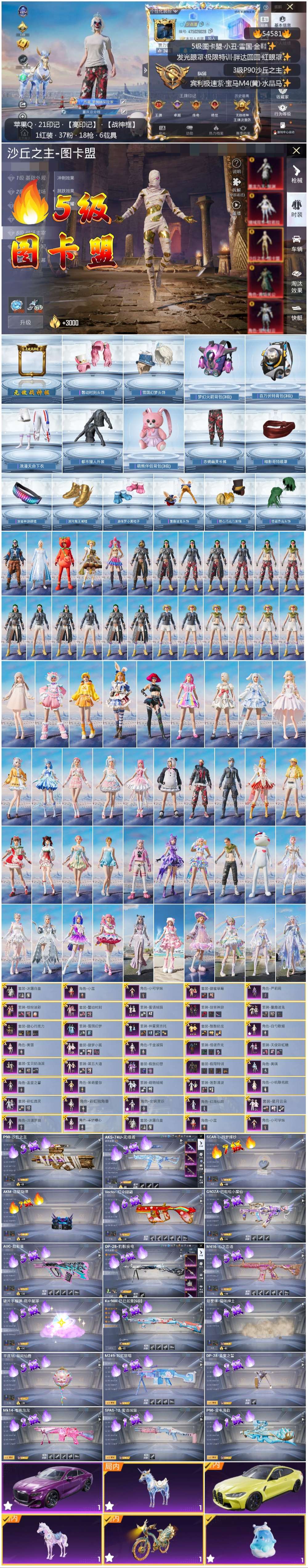 HPSJ3448342和平精英账号详情图3 HPSJ3448342和平精英账号详情图3