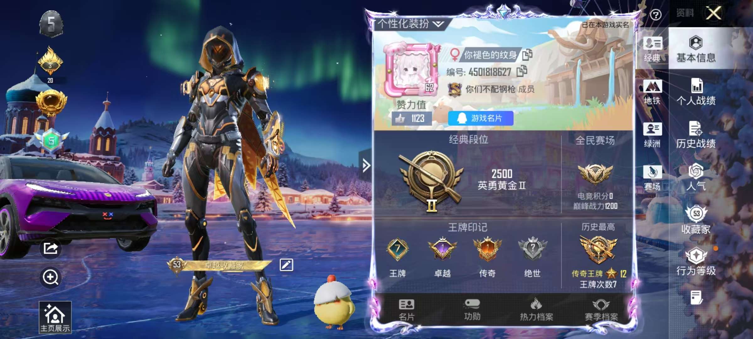 HPSJ3444985和平精英账号详情图2