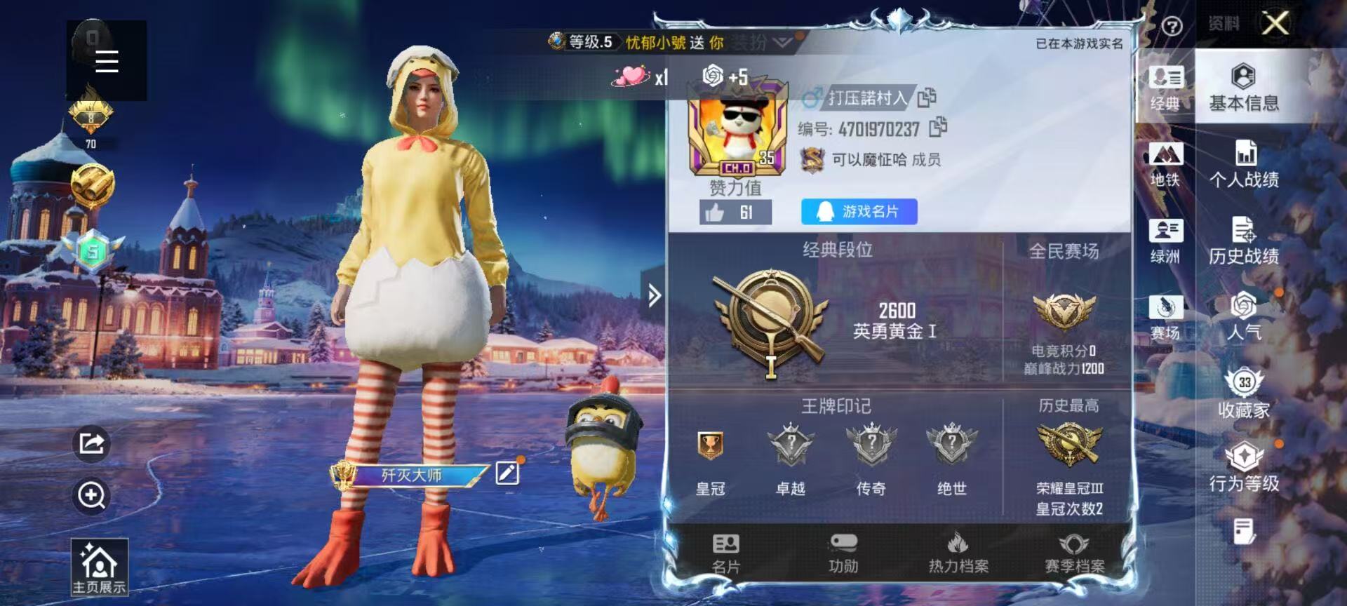 HPSJ3444995和平精英账号详情图2