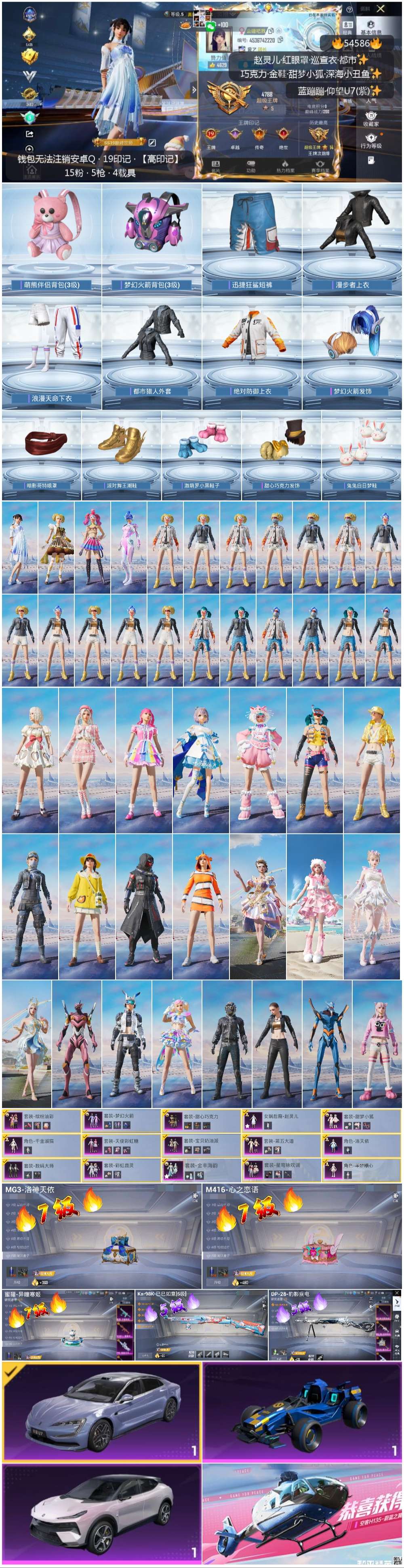 HPSJ3448371和平精英账号详情图4