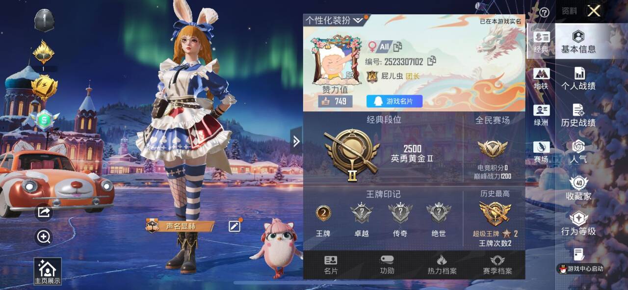 HPSJ3444884和平精英账号详情图2