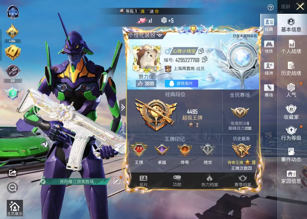 HPSJ3450197和平精英账号详情图2