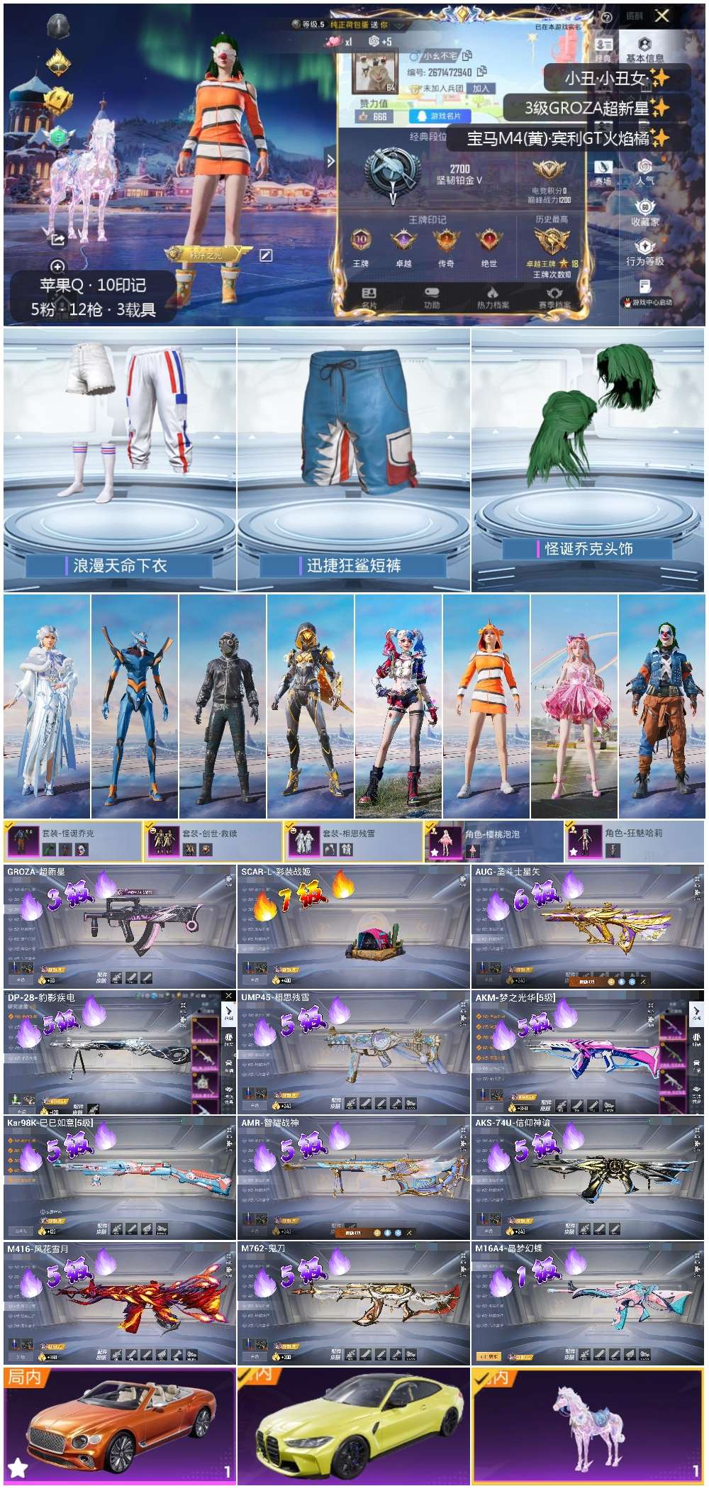 HPSJ3446384和平精英账号详情图3