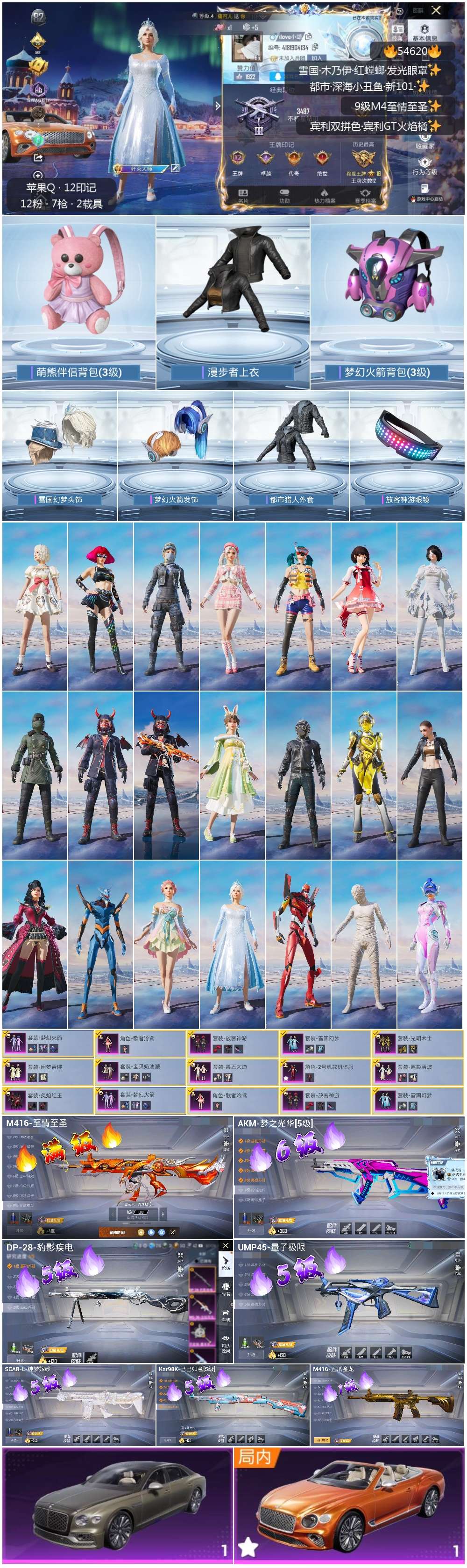 HPSJ3448403和平精英账号详情图2