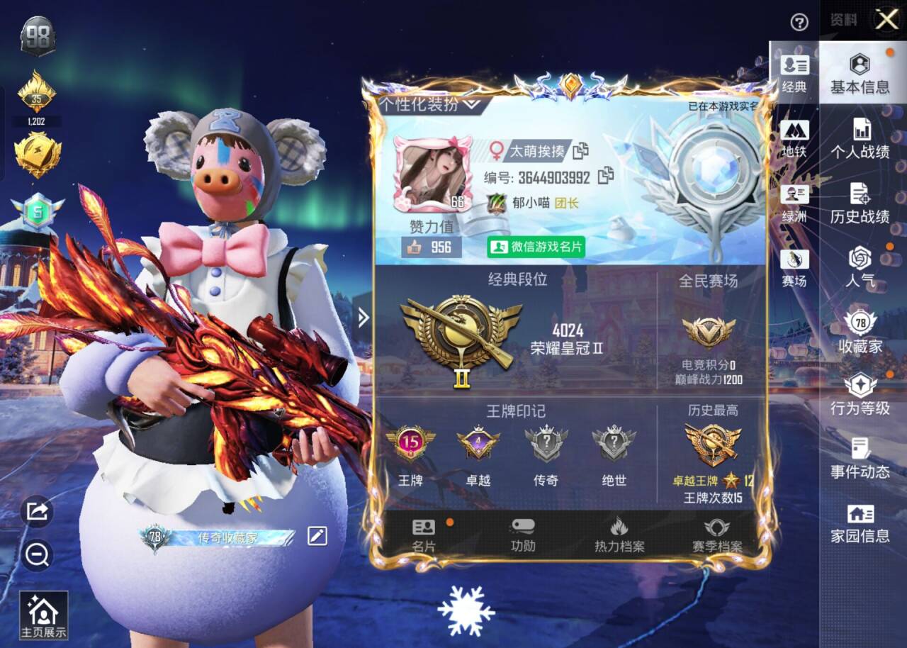 HPSJ3446352和平精英账号详情图2