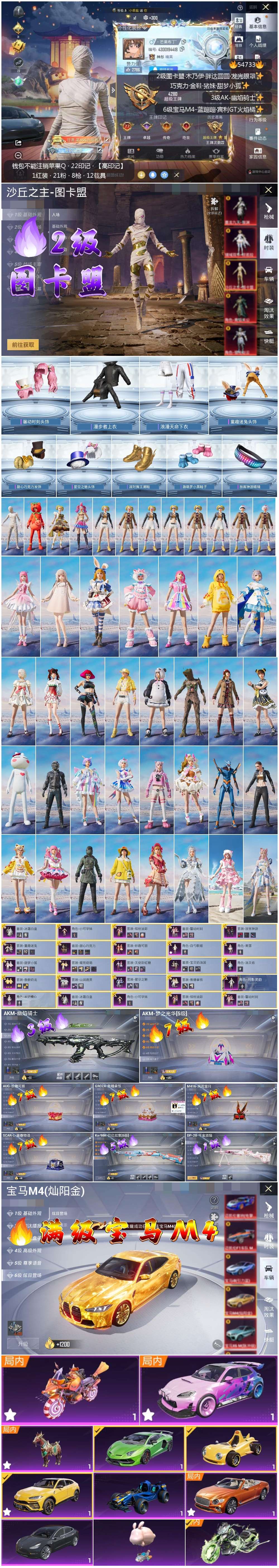 HPSJ3450152和平精英账号详情图3