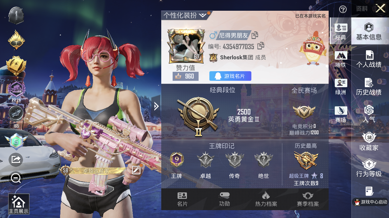 HPZM3452867和平精英账号详情图2