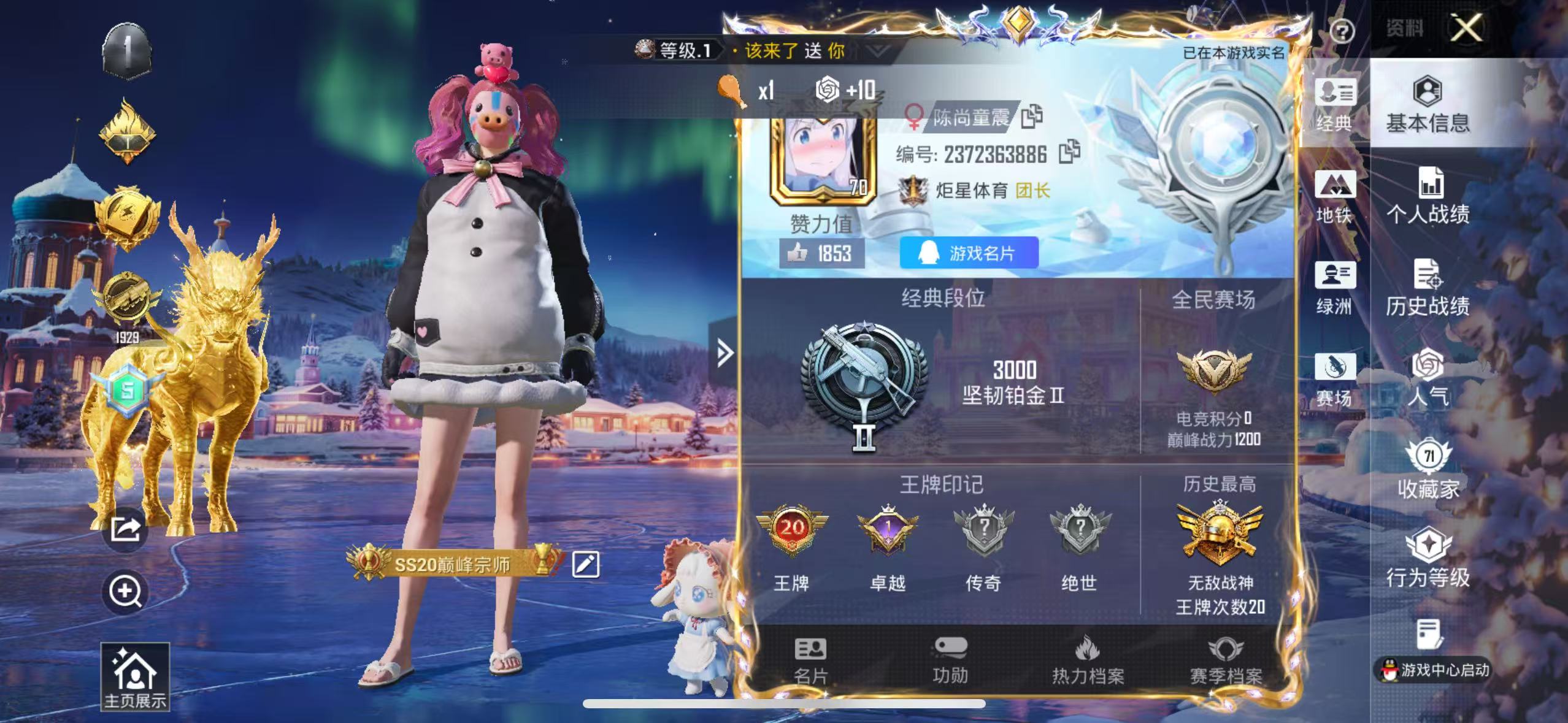 HPSJ3447790和平精英账号详情图2