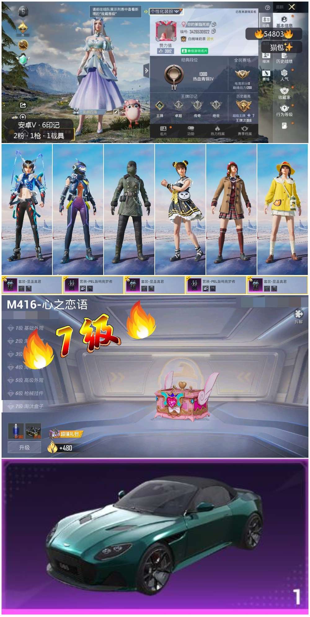 HPSJ3447610和平精英账号详情图3 HPSJ3447610和平精英账号详情图3