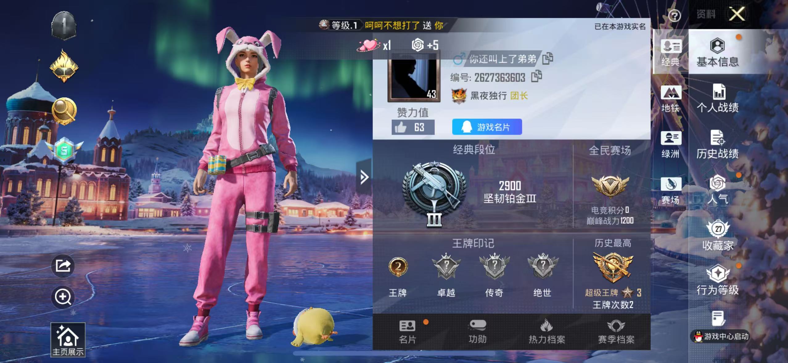 HPSJ3451589和平精英账号详情图2