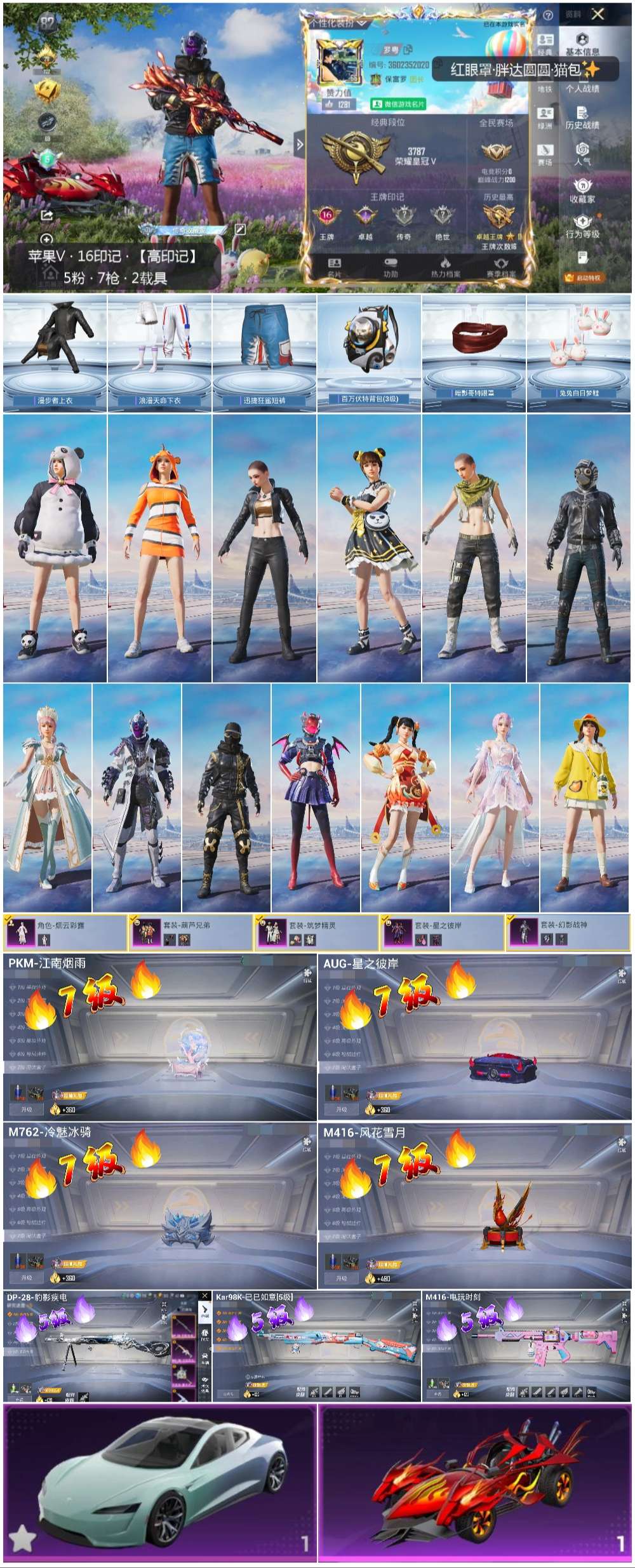 HPSJ3447689和平精英账号详情图5