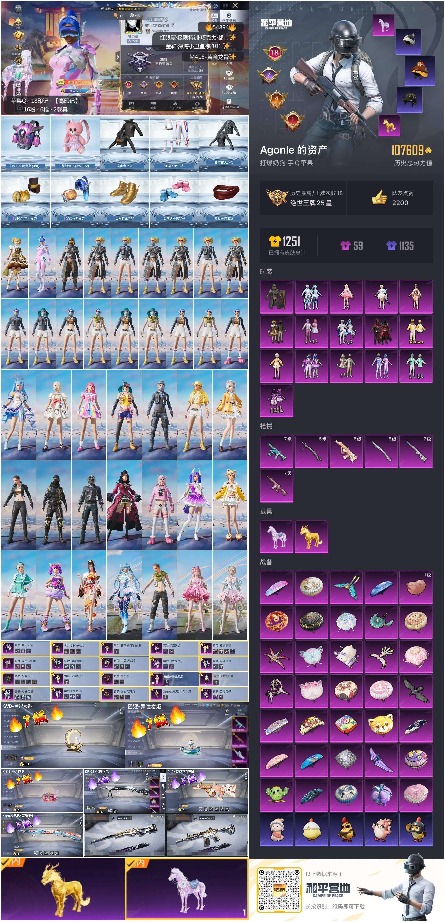 HPSJ3451612和平精英账号详情图4