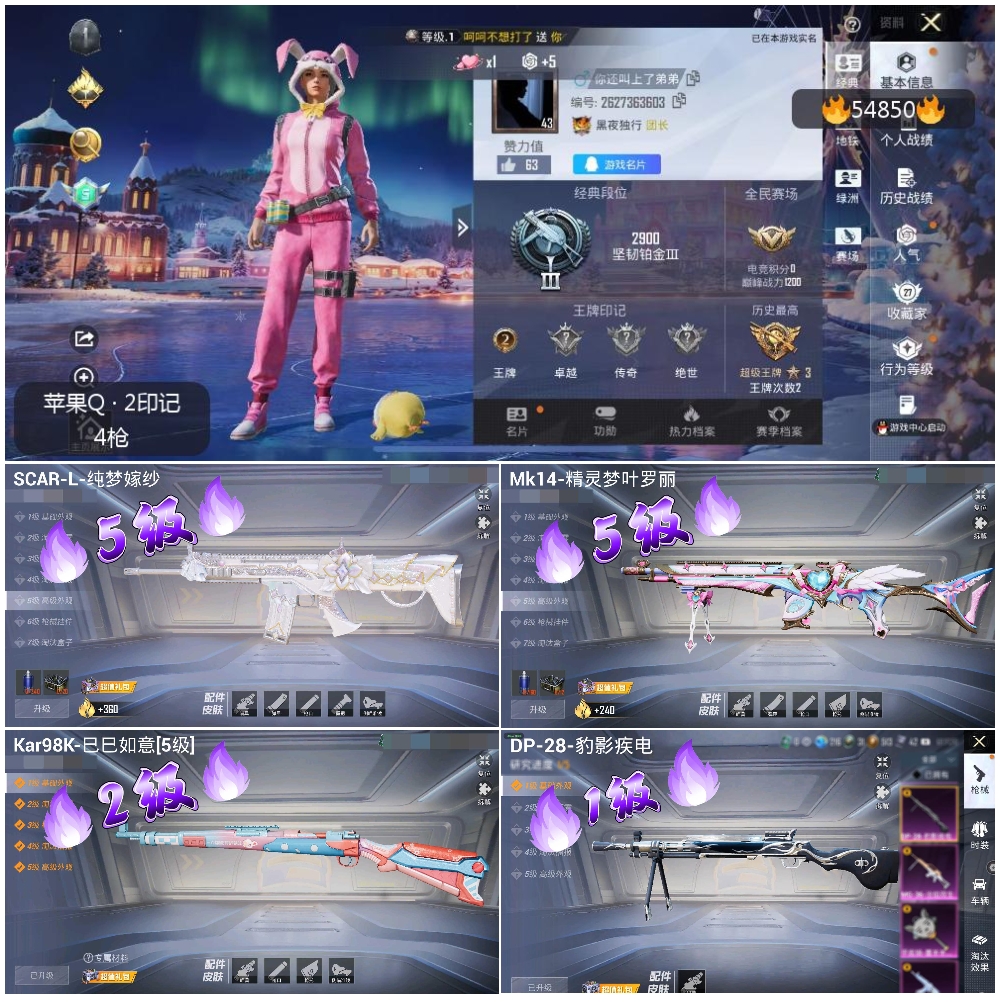 HPSJ3451589和平精英账号详情图3