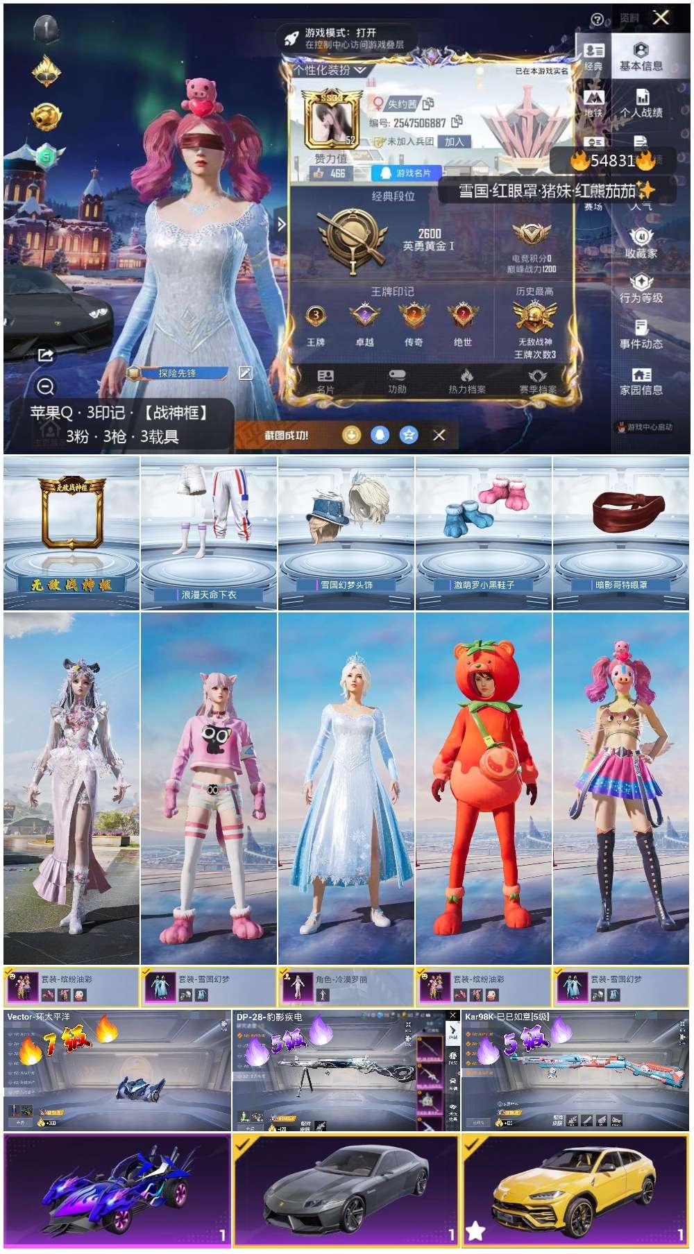 HPSJ3451605和平精英账号详情图3