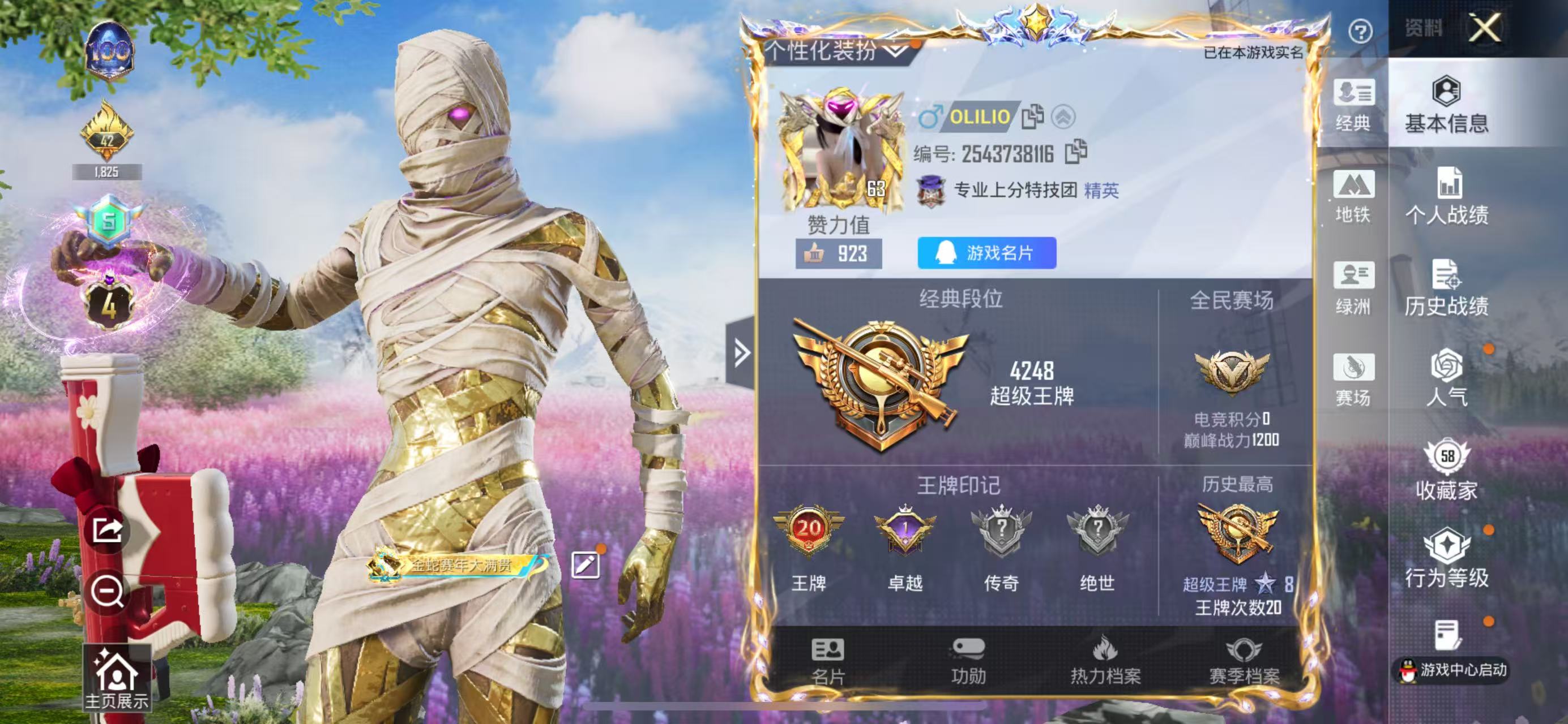 HPSJ3448446和平精英账号详情图2