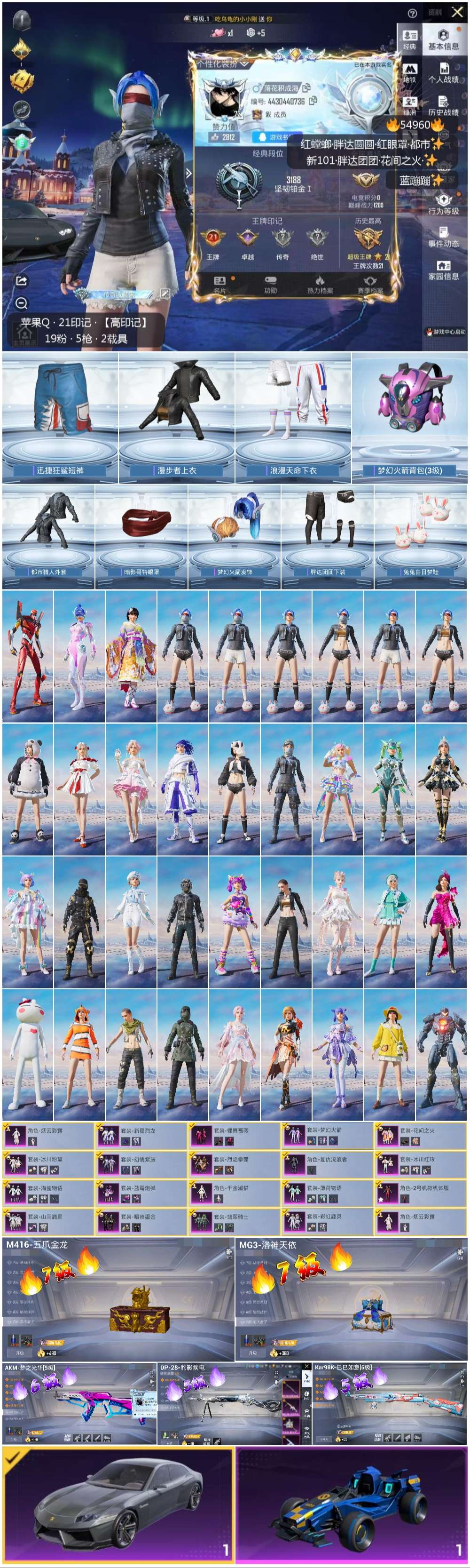 HPSJ3452565和平精英账号详情图3