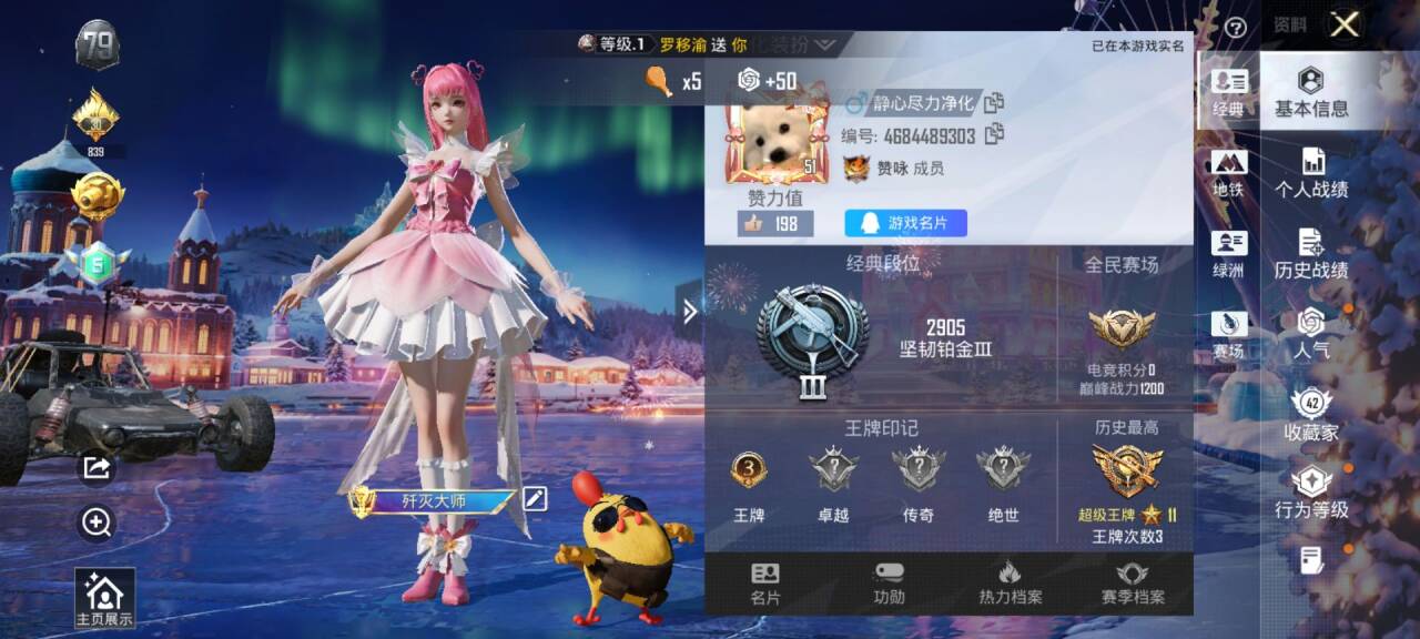 HPSJ3448540和平精英账号详情图2