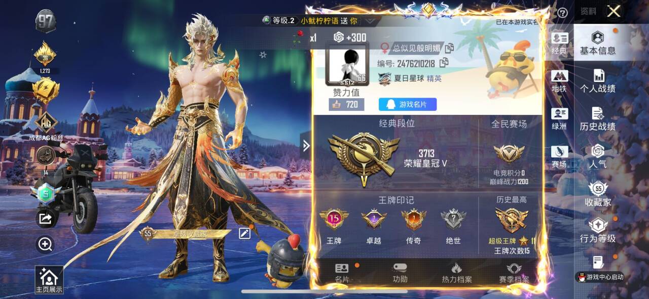 HPSJ3448550和平精英账号详情图2