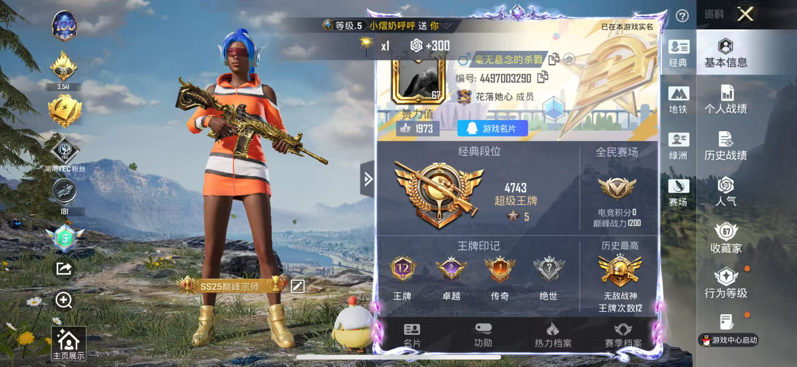 HPSJ3453739和平精英账号详情图2