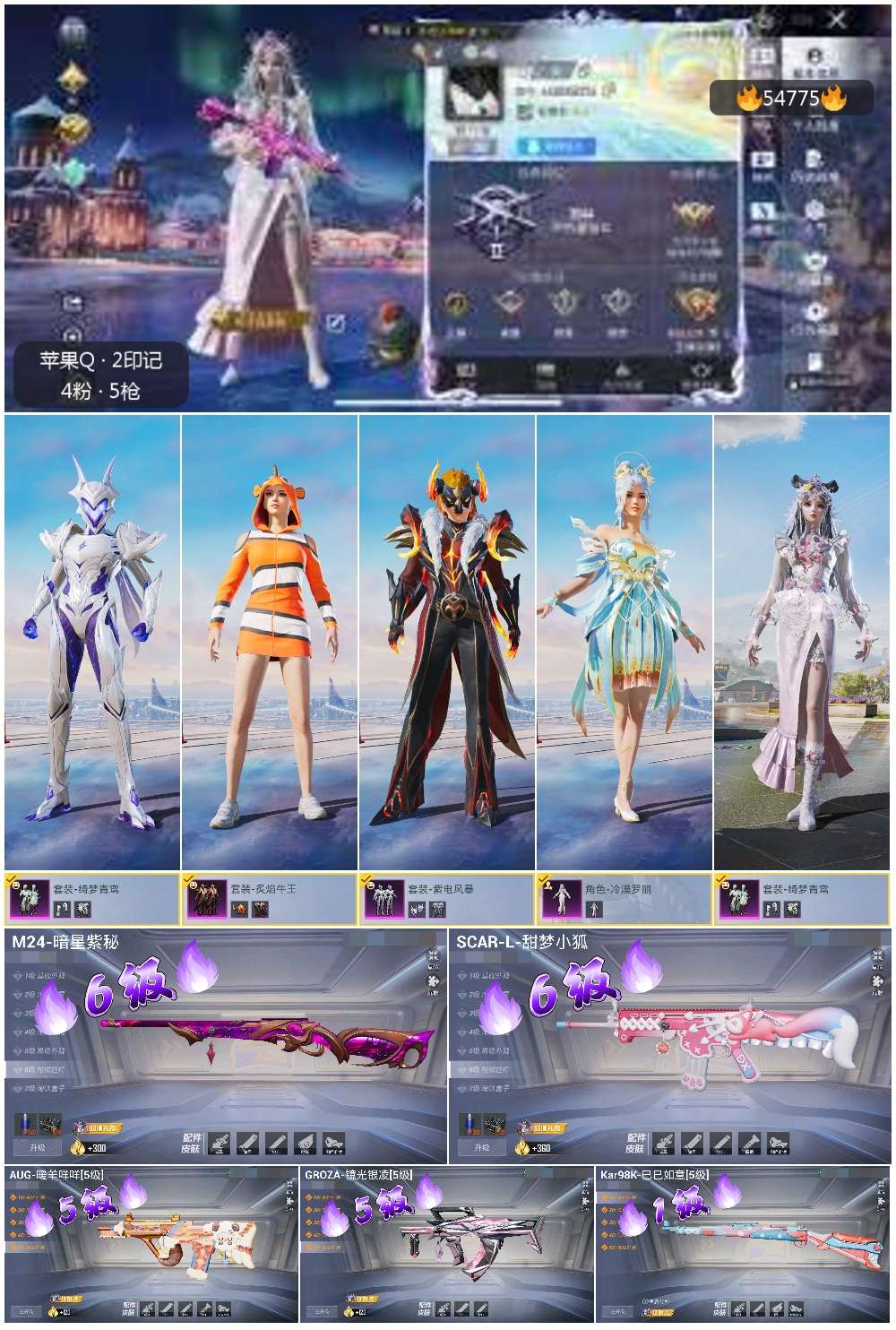 HPSJ3450313和平精英账号详情图4 HPSJ3450313和平精英账号详情图4