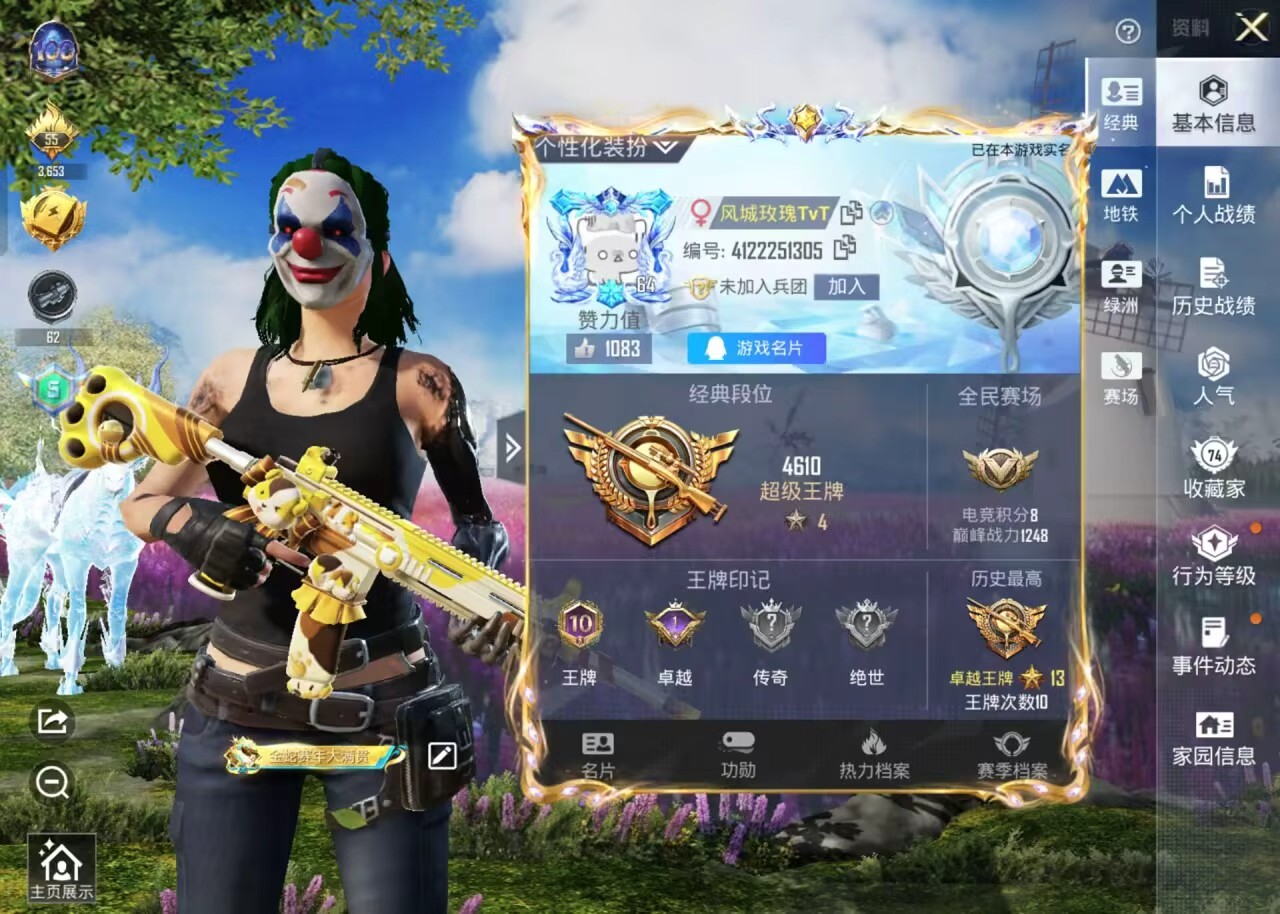 HPSJ3453741和平精英账号详情图2 HPSJ3453741和平精英账号详情图2