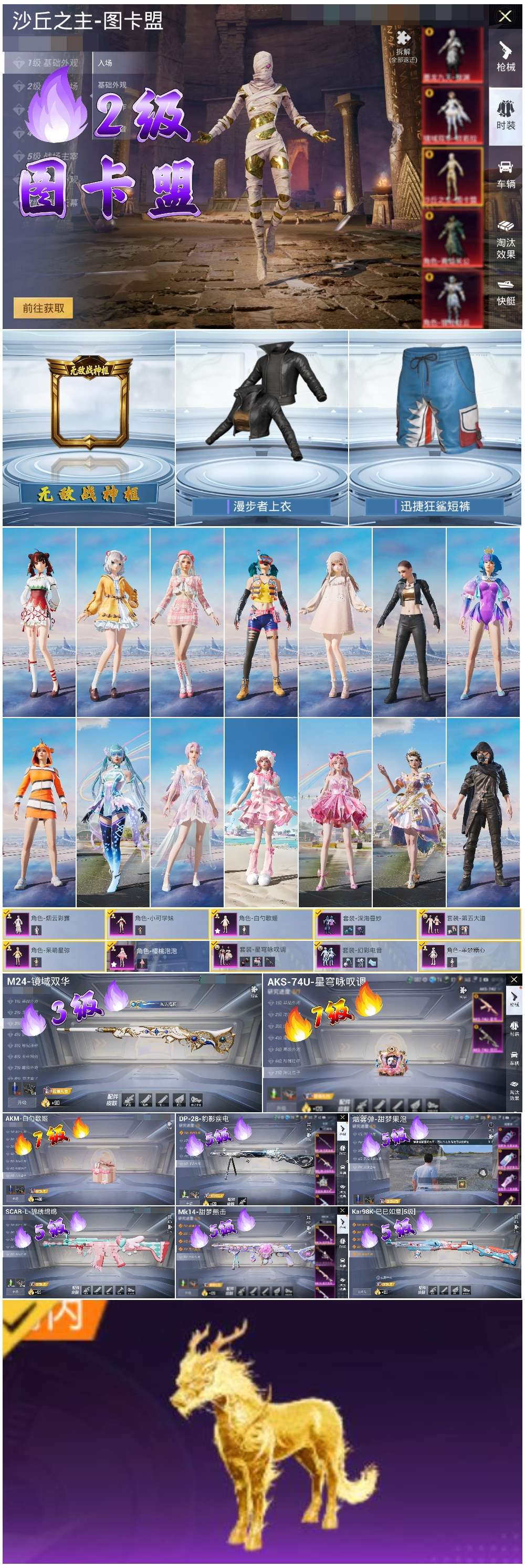 HPSJ3450339和平精英账号详情图3 HPSJ3450339和平精英账号详情图3