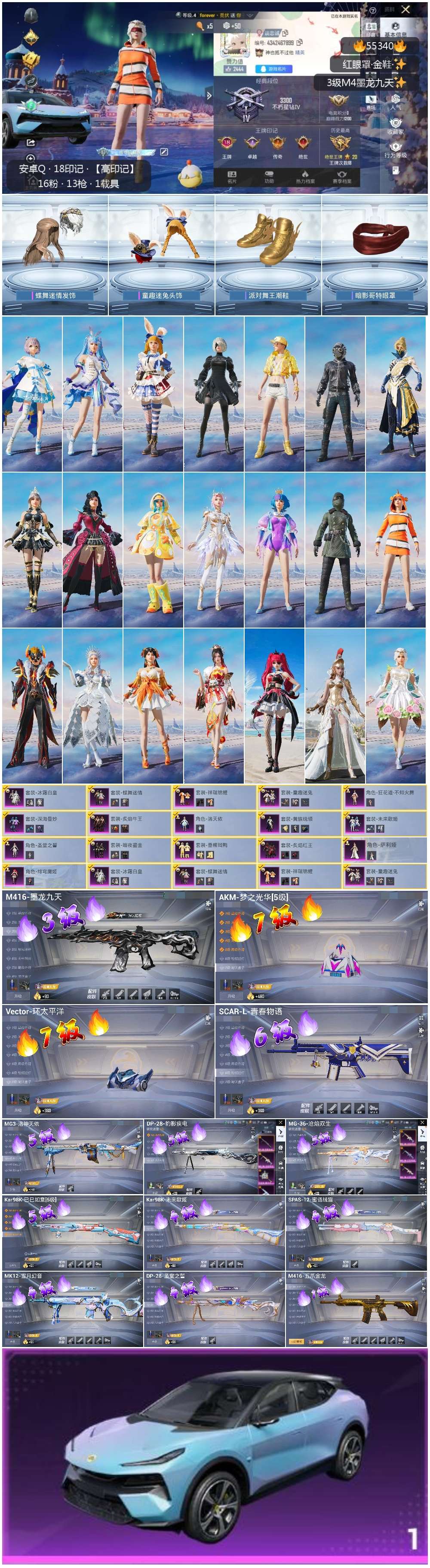 HPSJ3454933和平精英账号详情图2 HPSJ3454933和平精英账号详情图2