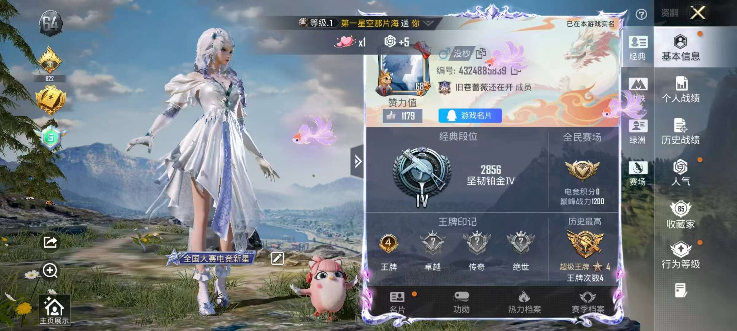 HPSJ3454876和平精英账号详情图2 HPSJ3454876和平精英账号详情图2