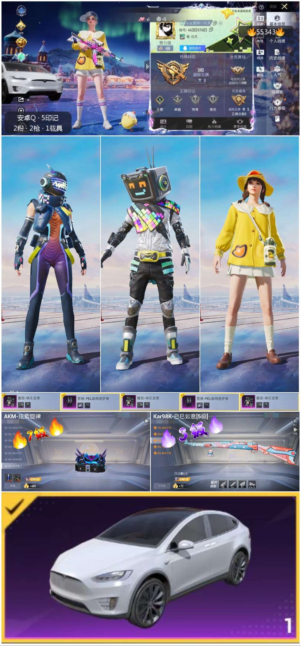 HPSJ3454875和平精英账号详情图2