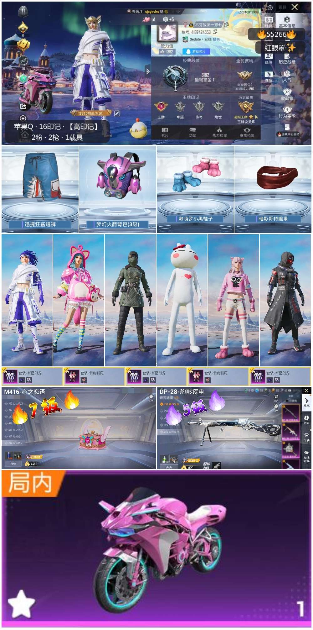 HPSJ3454885和平精英账号详情图2