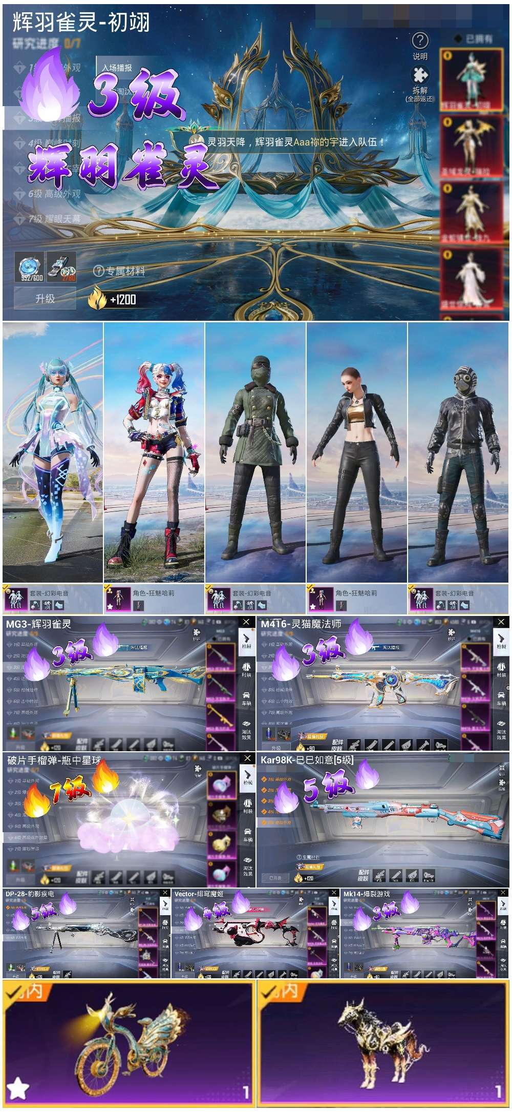 HPSJ3454910和平精英账号详情图3