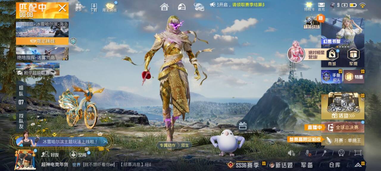 HPSJ3405748和平精英账号详情图3 HPSJ3405748和平精英账号详情图3