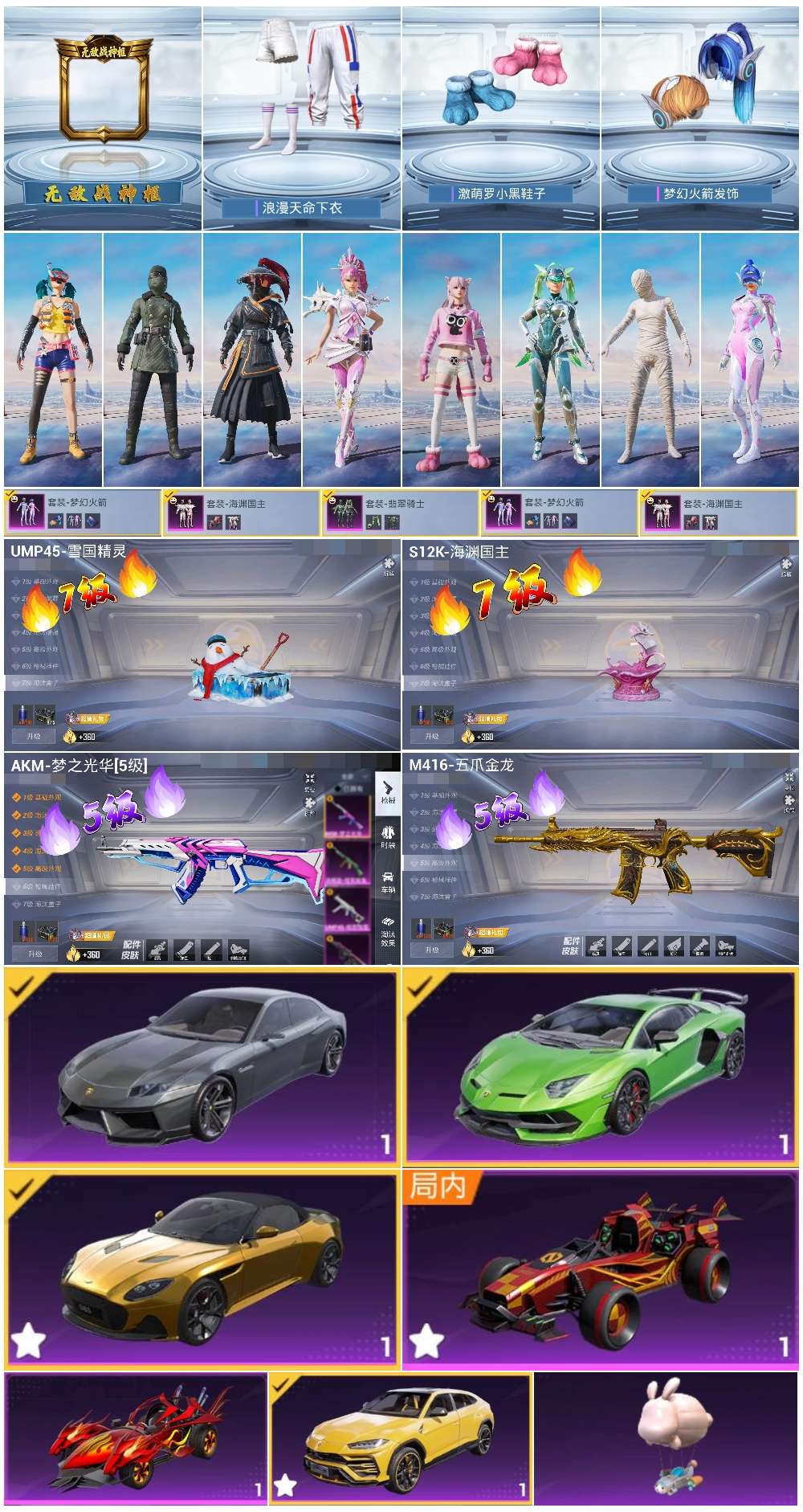 HPSJ3453890和平精英账号详情图2