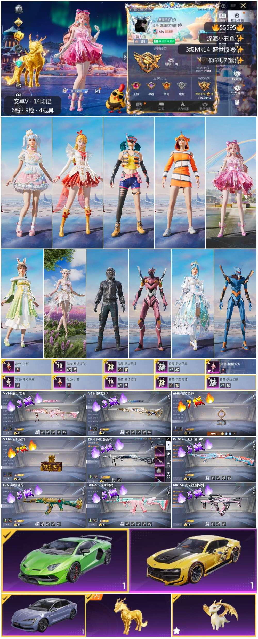 HPSJ3453755和平精英账号详情图3 HPSJ3453755和平精英账号详情图3