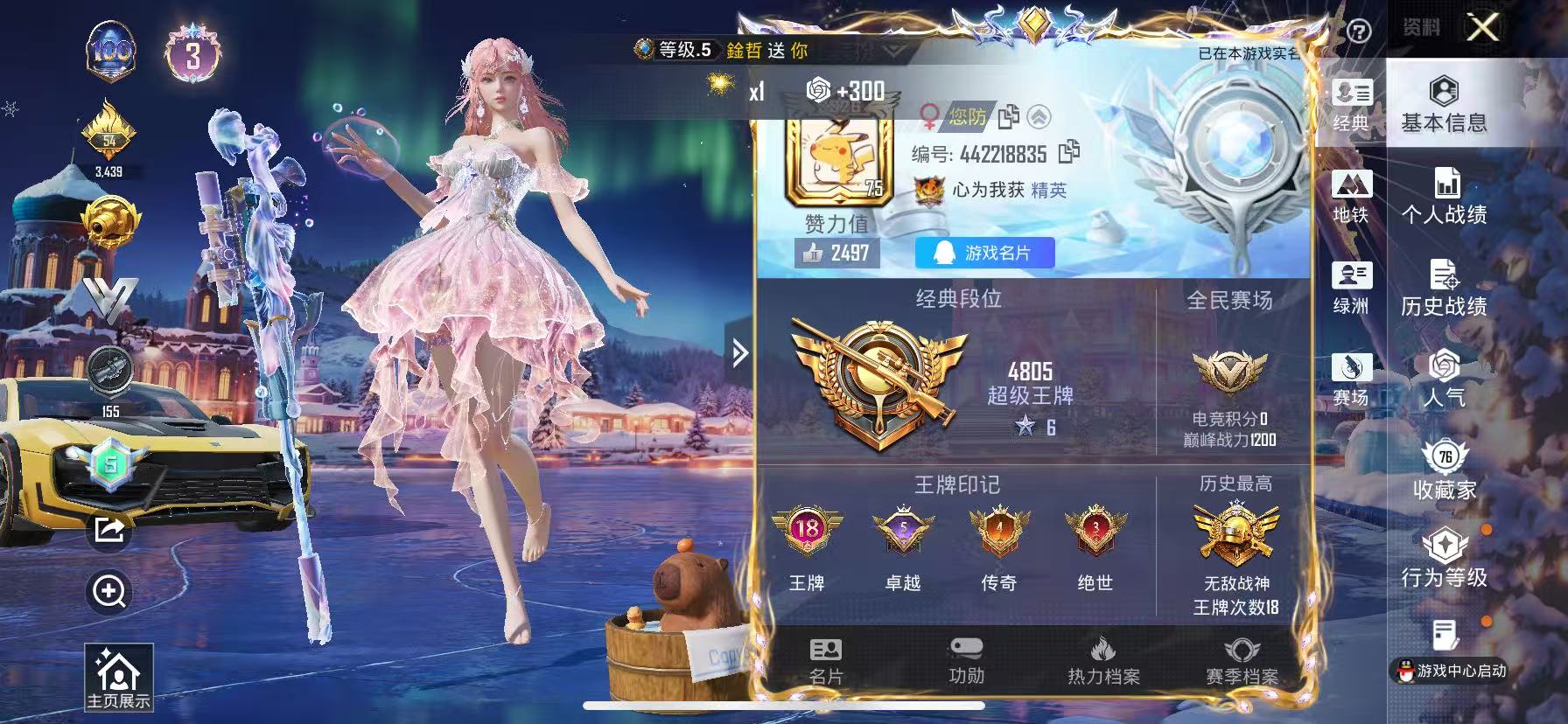 HPSJ43584和平精英账号详情图2