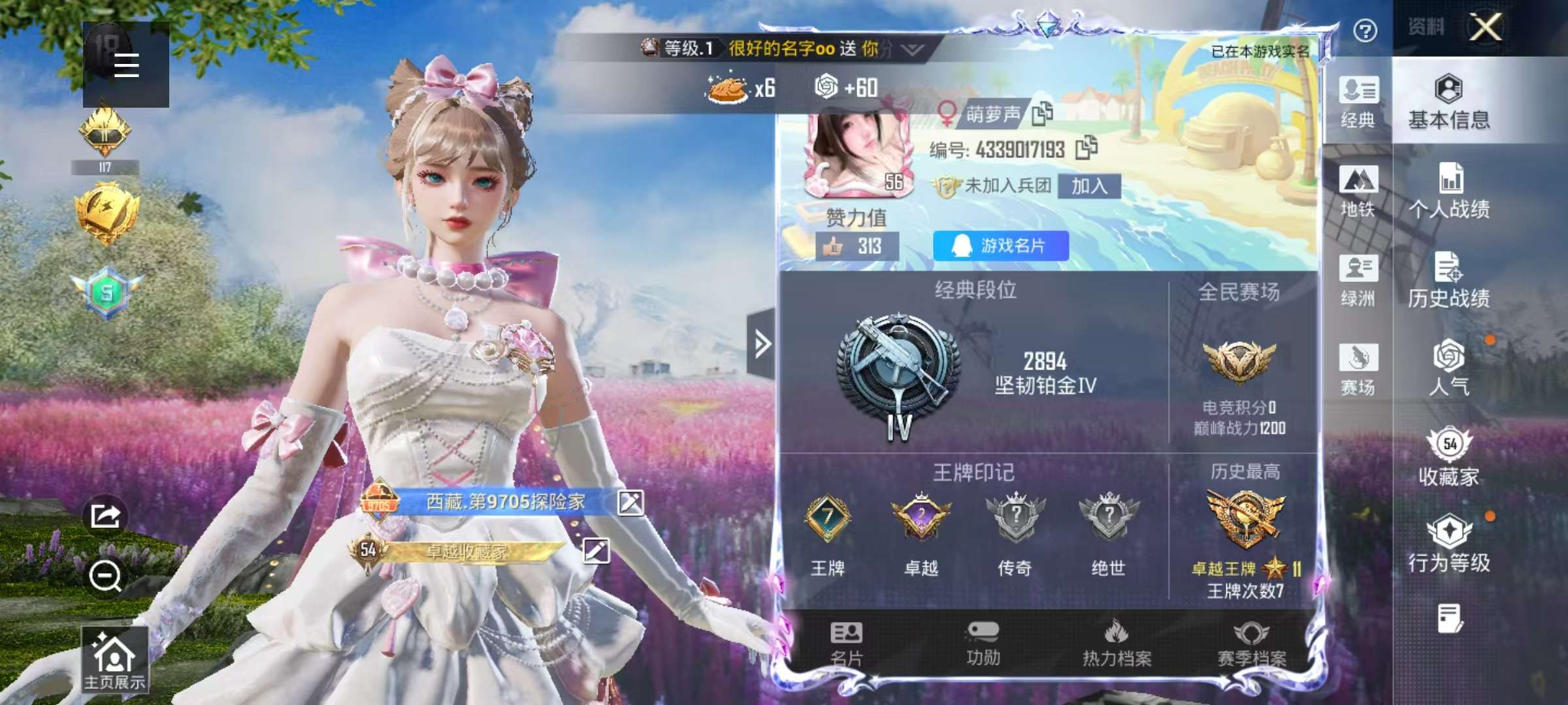 HPSJ3453857和平精英账号详情图4