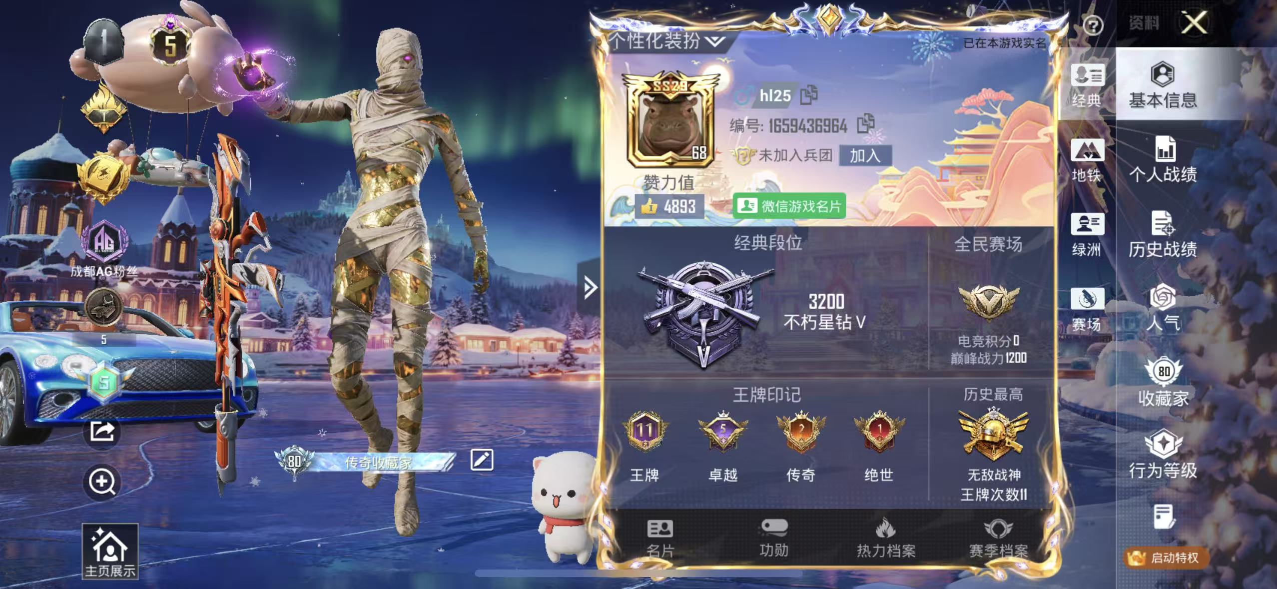 HPSJ3453886和平精英账号详情图2