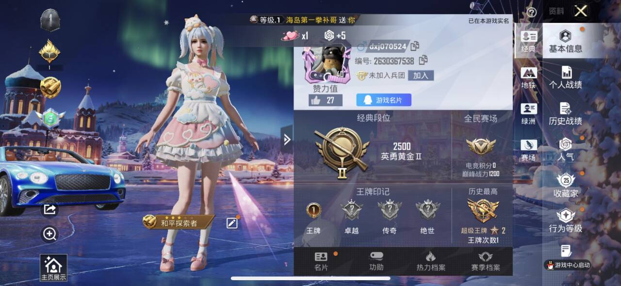 HPCMW410025和平精英账号详情图2