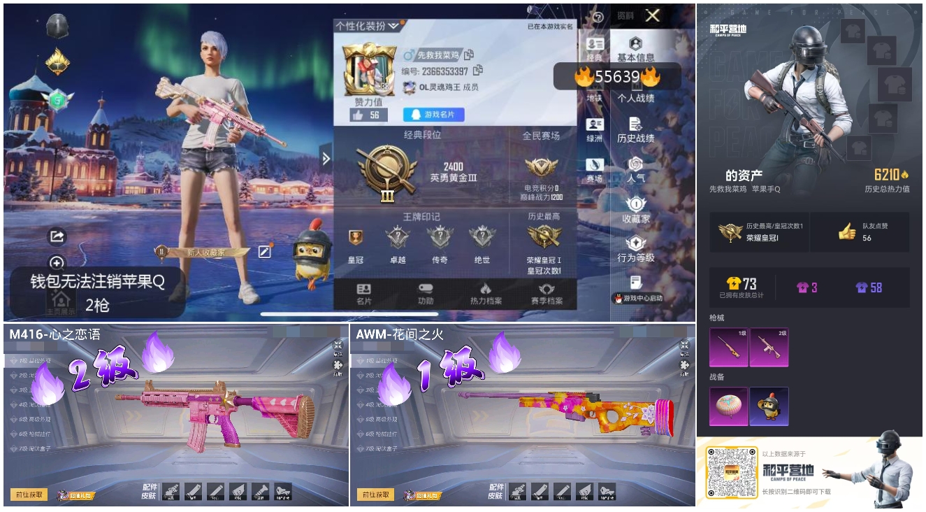 HPSJ43579和平精英账号详情图5 HPSJ43579和平精英账号详情图5