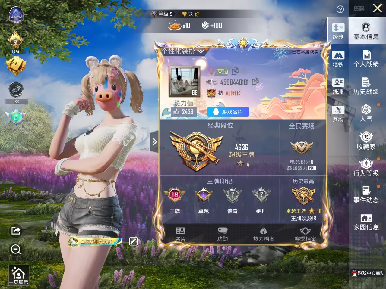 HPSJ3453853和平精英账号详情图3