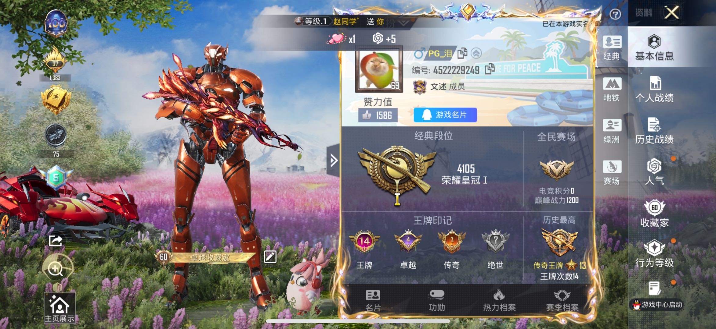 HPSJ3453787和平精英账号详情图3