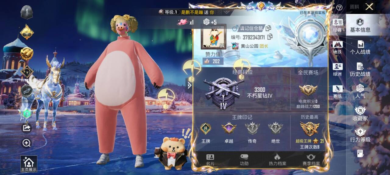 HPSJ3453930和平精英账号详情图4 HPSJ3453930和平精英账号详情图4