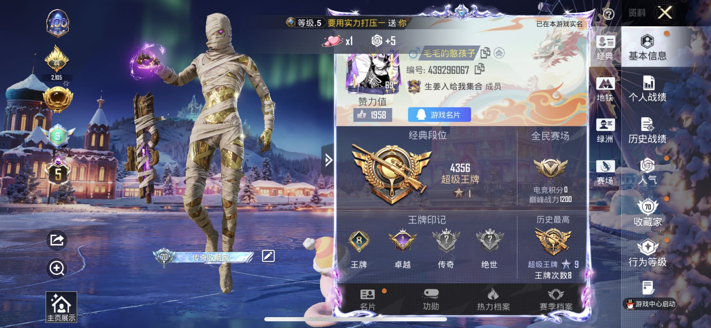 HPSJ45244和平精英账号详情图2