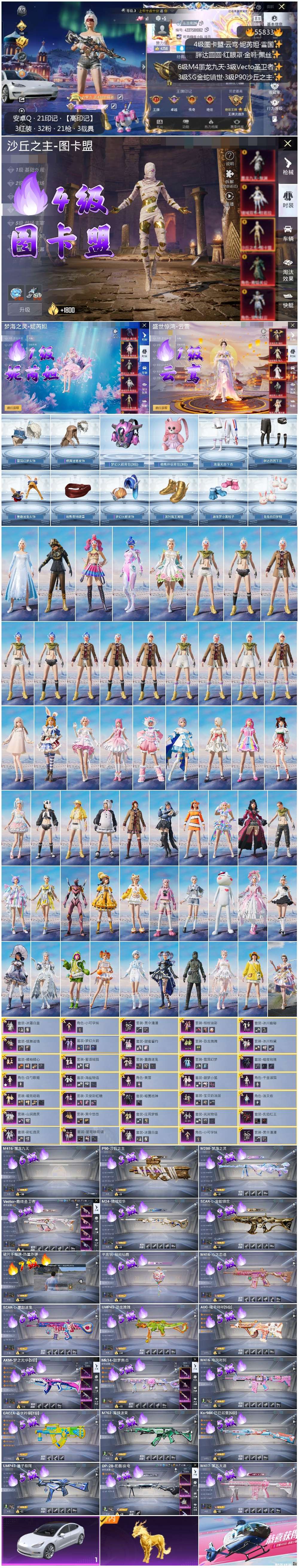 HPSJ45218和平精英账号详情图4