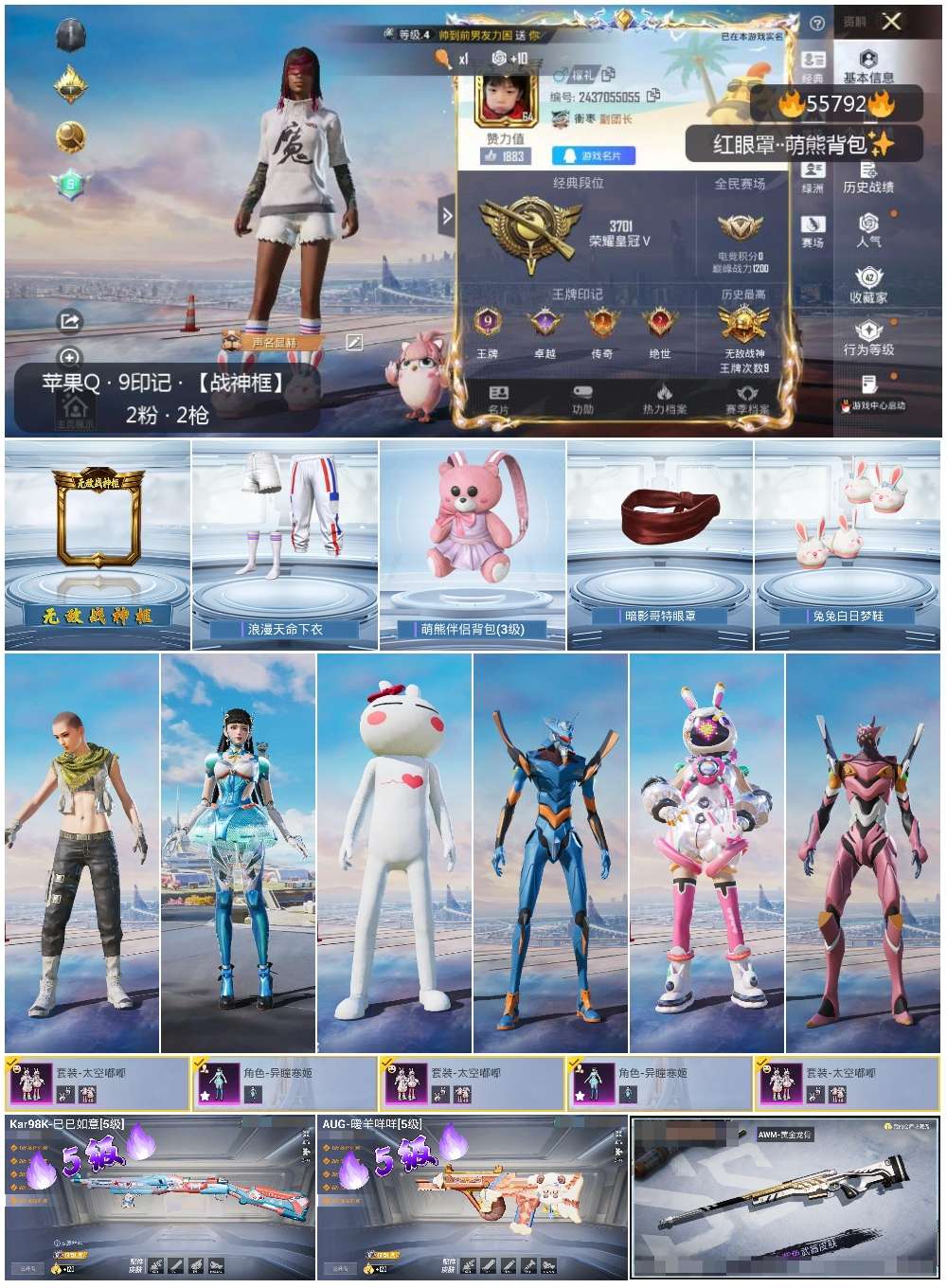 HPSJ3455303和平精英账号详情图4